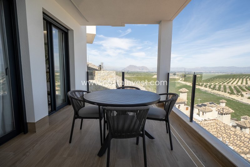 Villa in Algorfa, Valencian Community, Spain 3 - 17695244