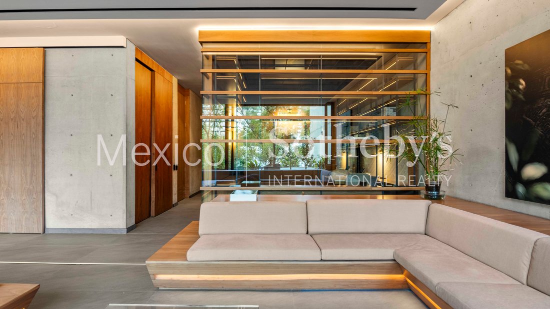 Apartment in Mexico City, Mexico 5 - 17702610