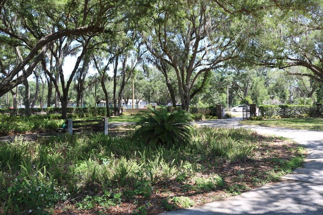 House in Lutz, Florida, United States 4 - 17705304