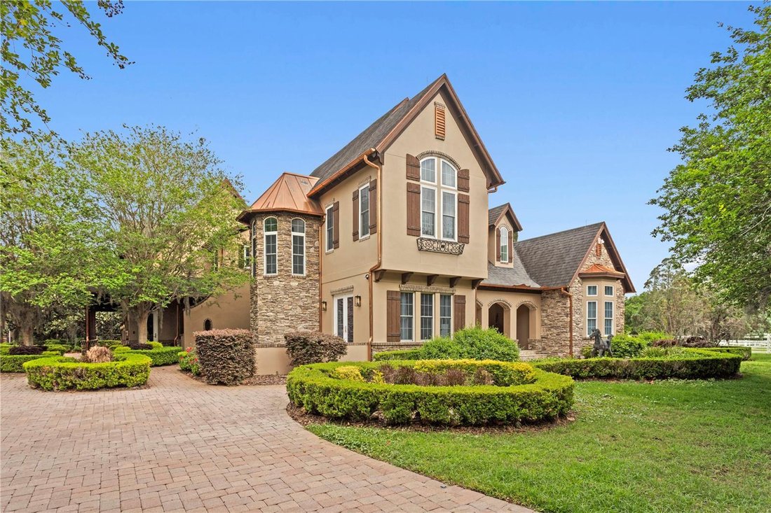 House in Odessa, Florida, United States 1 - 17703226