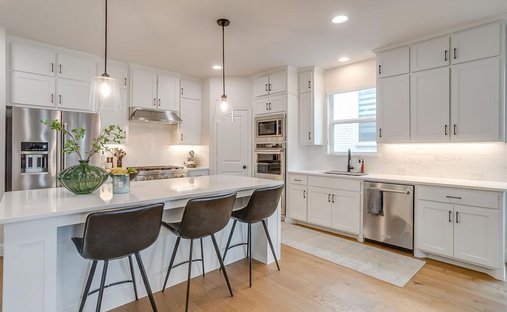 House in Carrollton, Texas, United States 1