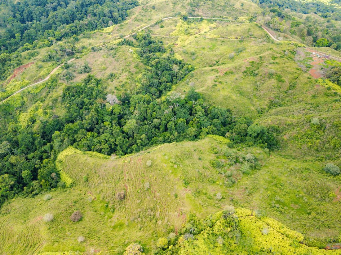 Land in Sierpe, Puntarenas Province, Costa Rica 3 - 17342775