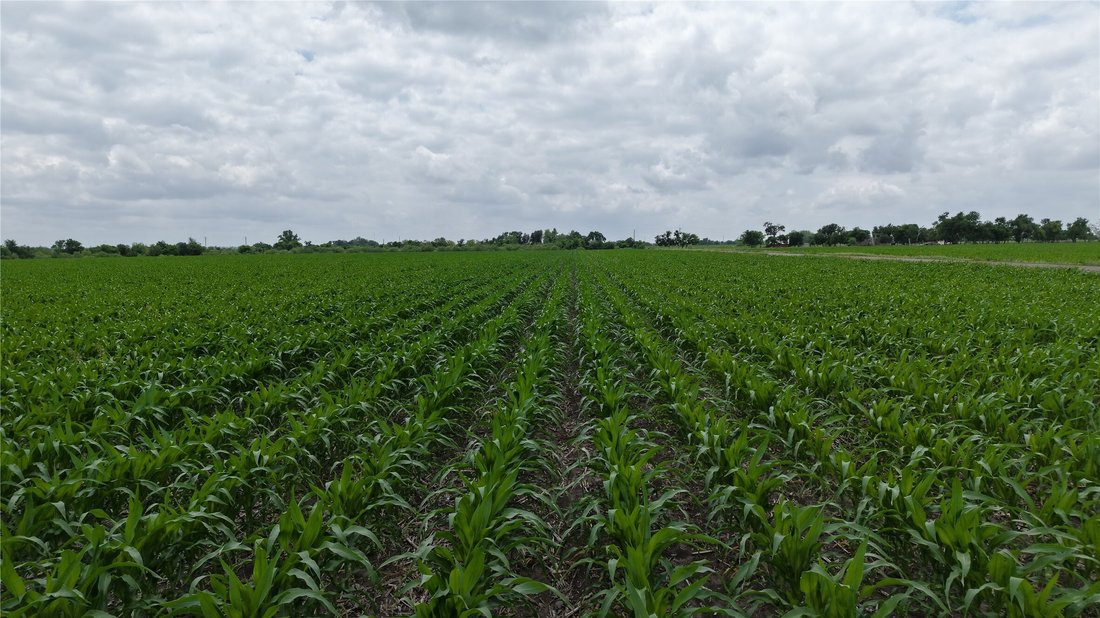 Land in Taylor, Texas, United States 3 - 17714820