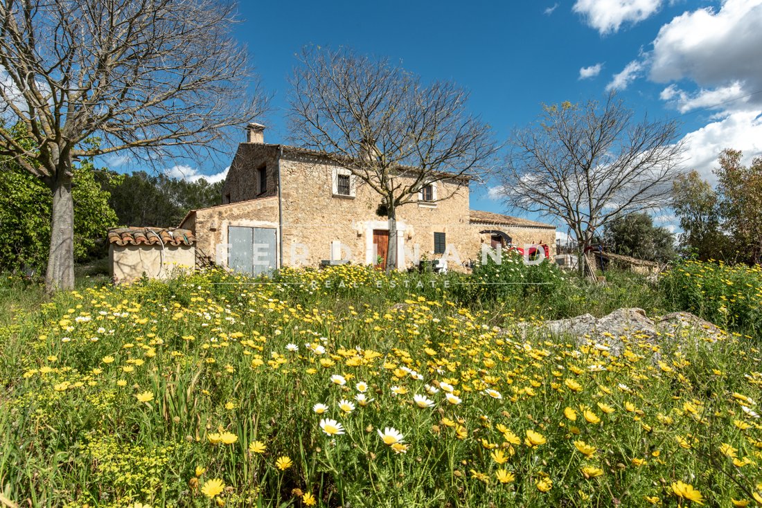 Finca in Santa Maria del Cami, Balearic Islands, Spain 4 - 17652667
