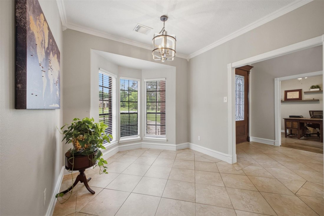 House in Willis, Texas, United States 5 - 17704286
