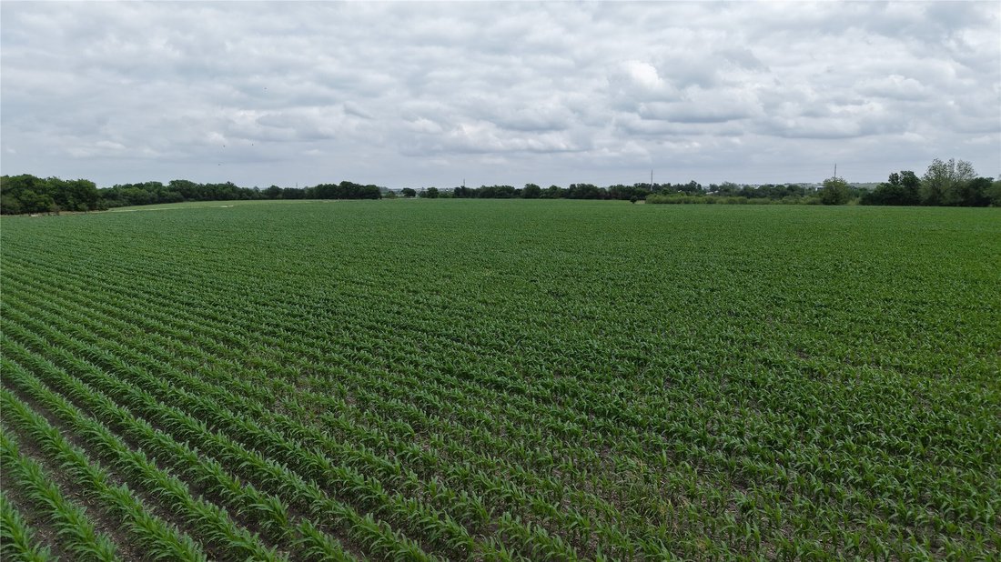 Land in Taylor, Texas, United States 1 - 17714820