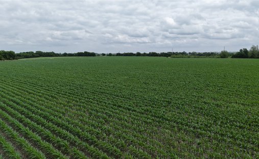 Land in Taylor, Texas, Vereinigte Staaten 1