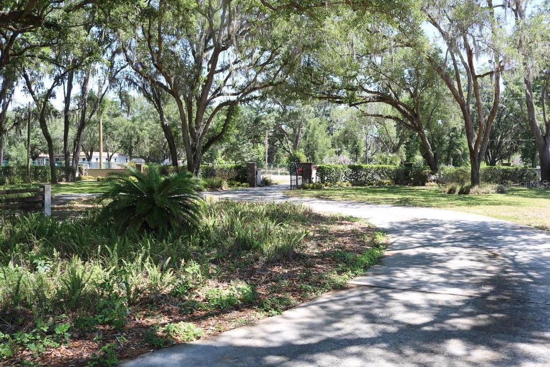 House in Lutz, Florida, United States 3 - 17705304