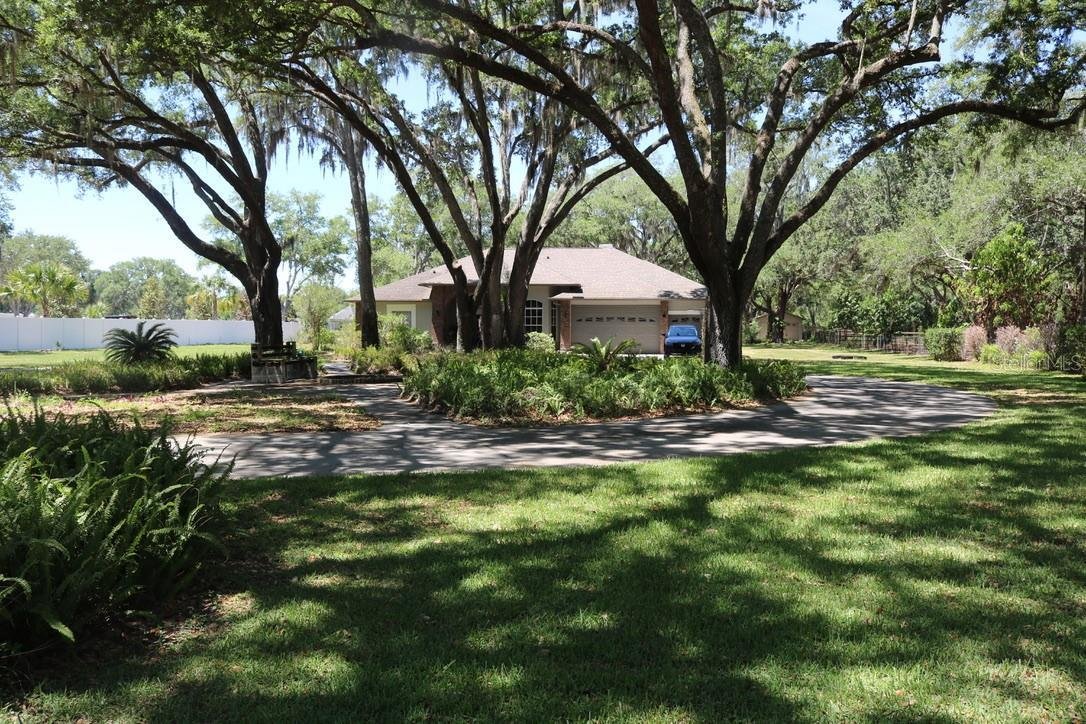 House in Lutz, Florida, United States 5 - 17705304
