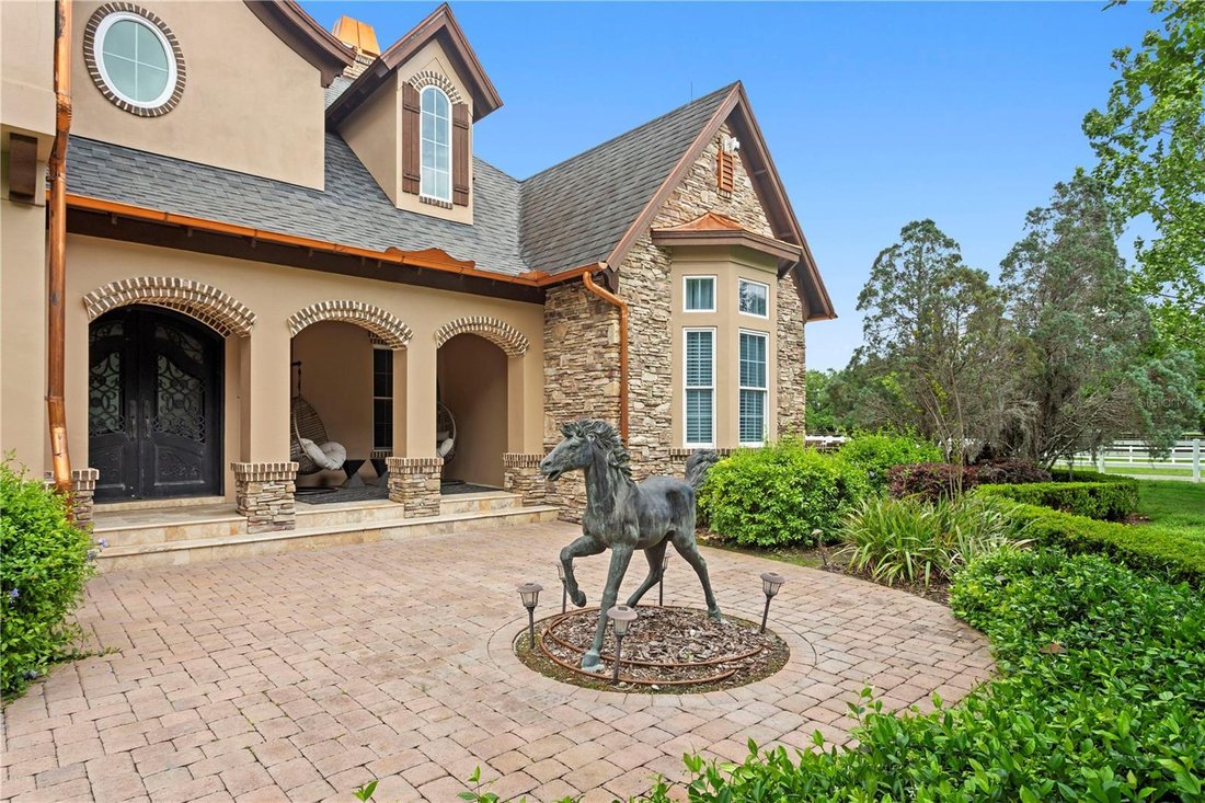 House in Odessa, Florida, United States 3 - 17703226