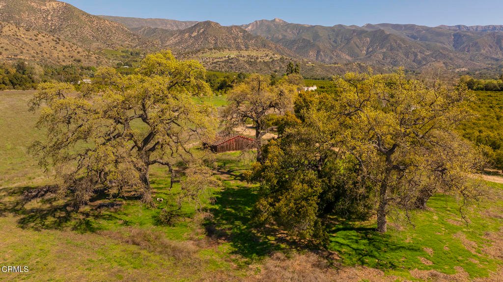 Land in Ojai, California, United States 2 - 17709579