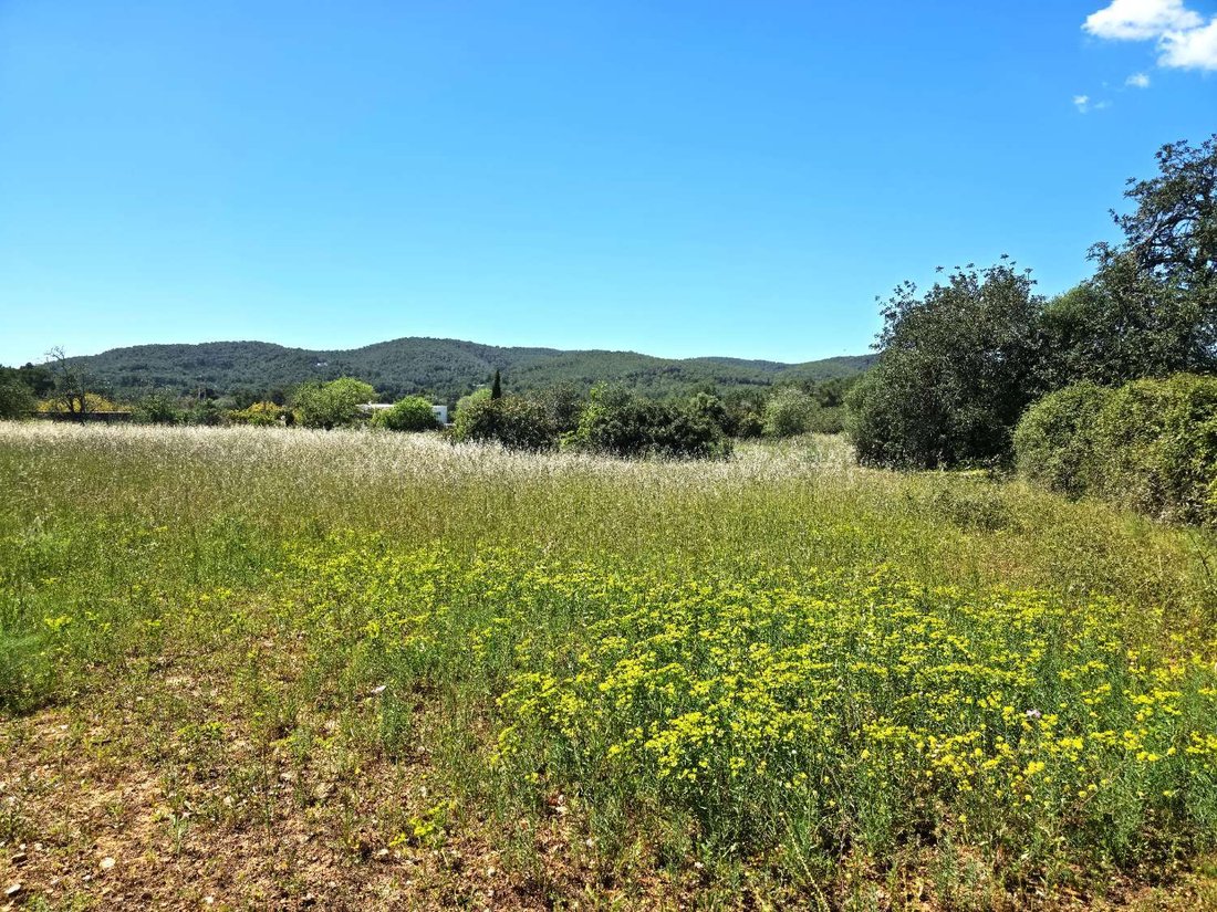 Terreno en San Juan Bautista, Islas Baleares, España 2 - 17612529