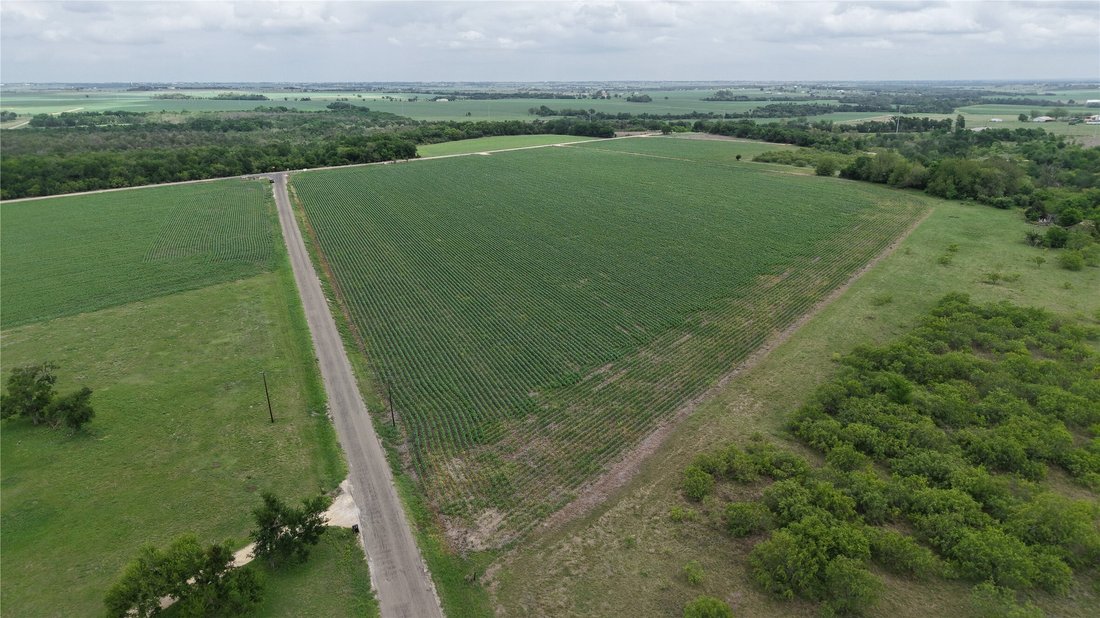 Land in Taylor, Texas, United States 4 - 17714820