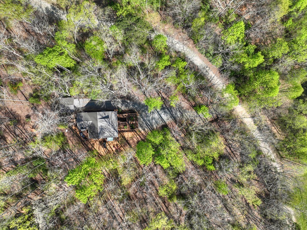 House in Morganton, Georgia, United States 5 - 17716305
