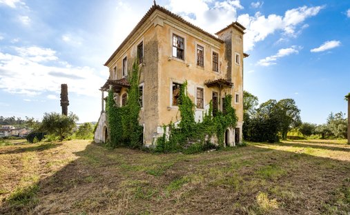 Land in Mealhada Municipality, Aveiro, Portugal 1