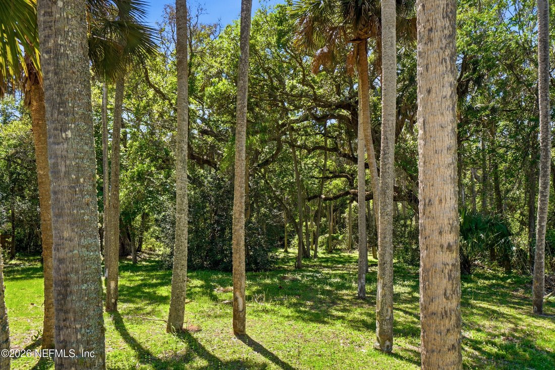 House in Atlantic Beach, Florida, United States 3 - 17702964