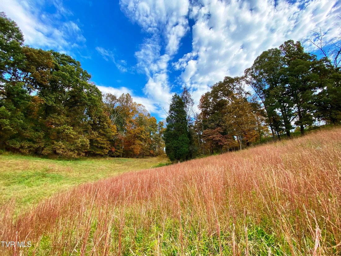 Land in Surgoinsville, Tennessee, United States 5 - 17714550