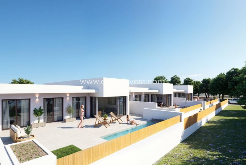 Villa in Dolores, Valencian Community, Spain 2 - 17695374