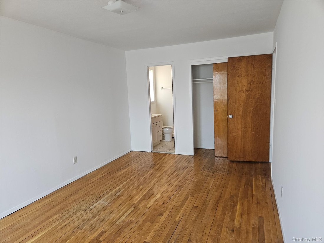 House in New York, New York, United States 4 - 17296243