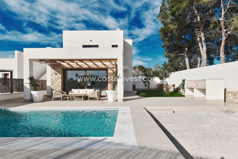 Villa in Orihuela, Valencian Community, Spain 2 - 17695248