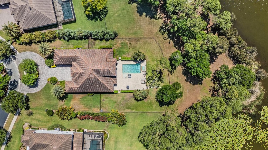 House in Tampa, Florida, United States 5 - 17703239