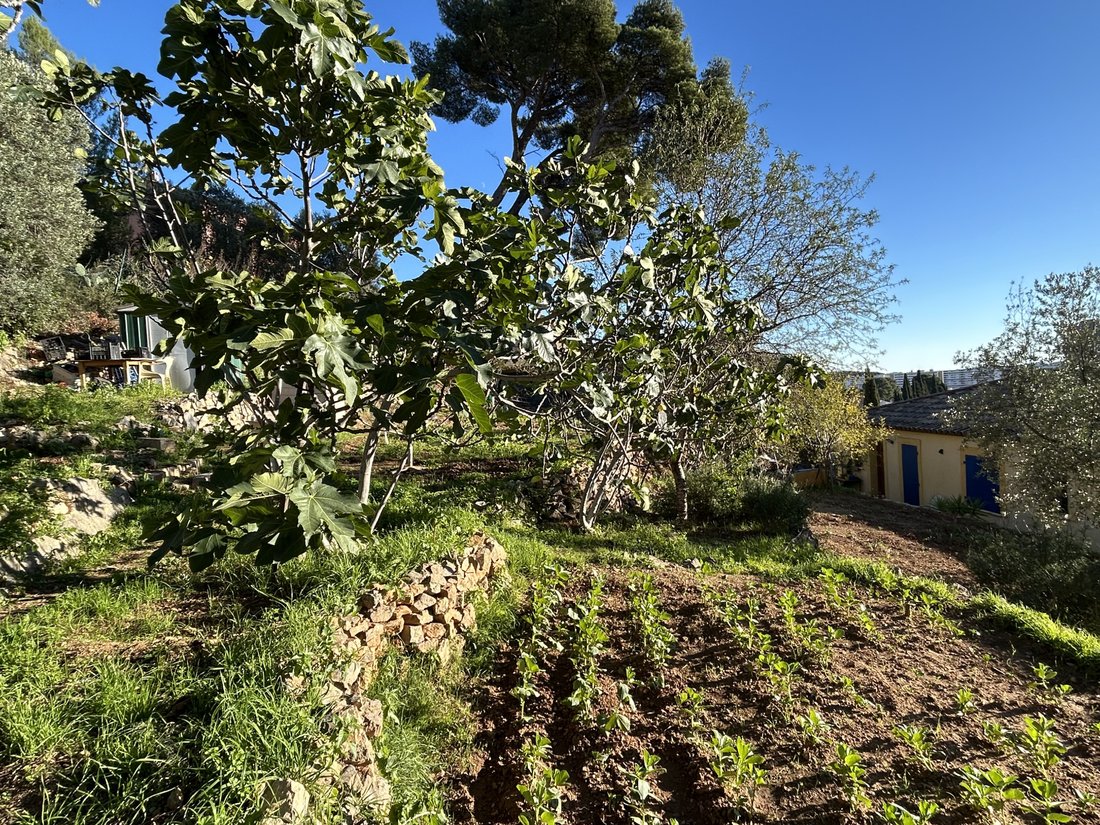 House in Le Revest-les-Eaux, Provence-Alpes-Côte d'Azur, France 3 - 17708687