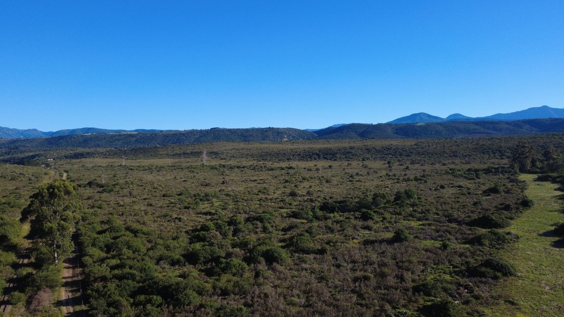 Land in Sedgefield, Western Cape, South Africa 3 - 17708680