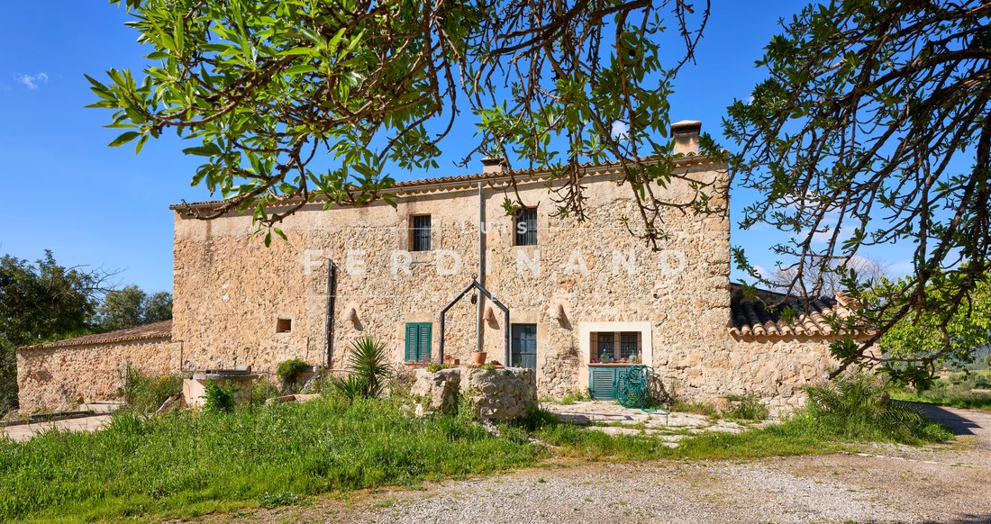 Finca in Santa Maria del Cami, Balearic Islands, Spain 3 - 17652667