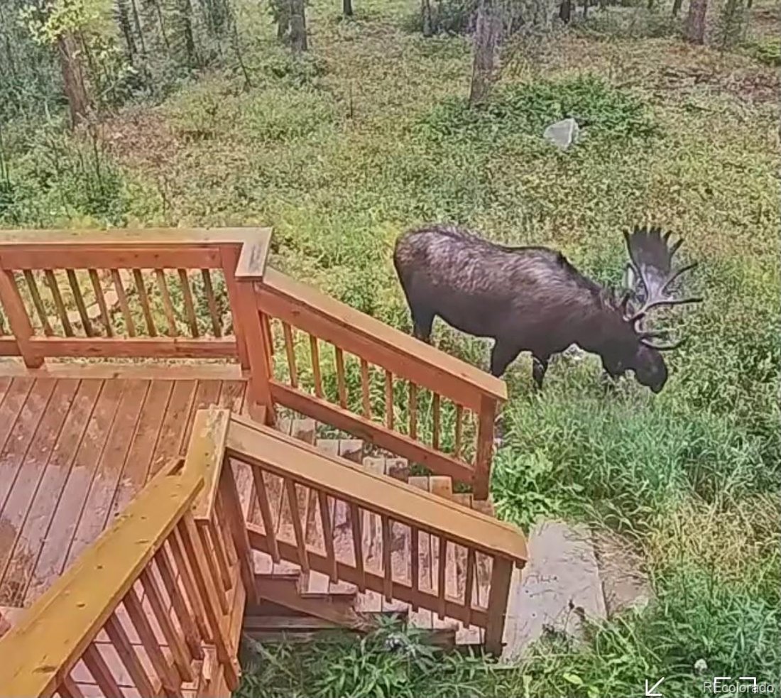 House in Breckenridge, Colorado, United States 4 - 17707117