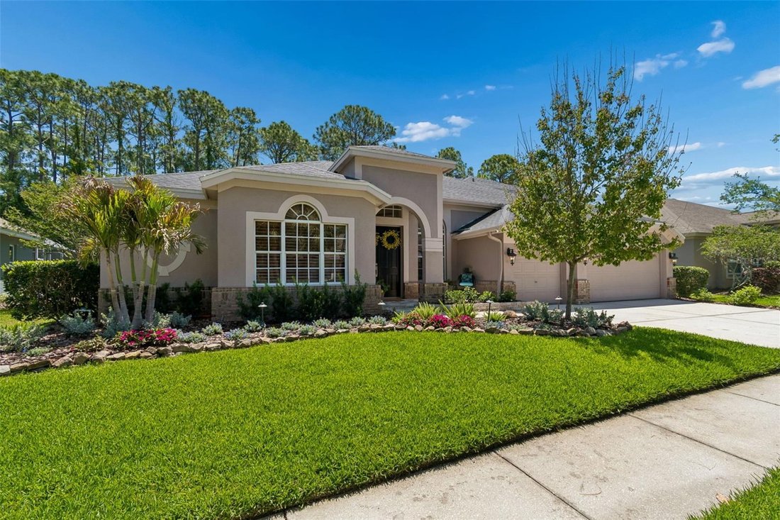 House in Tampa, Florida, United States 1 - 17707675