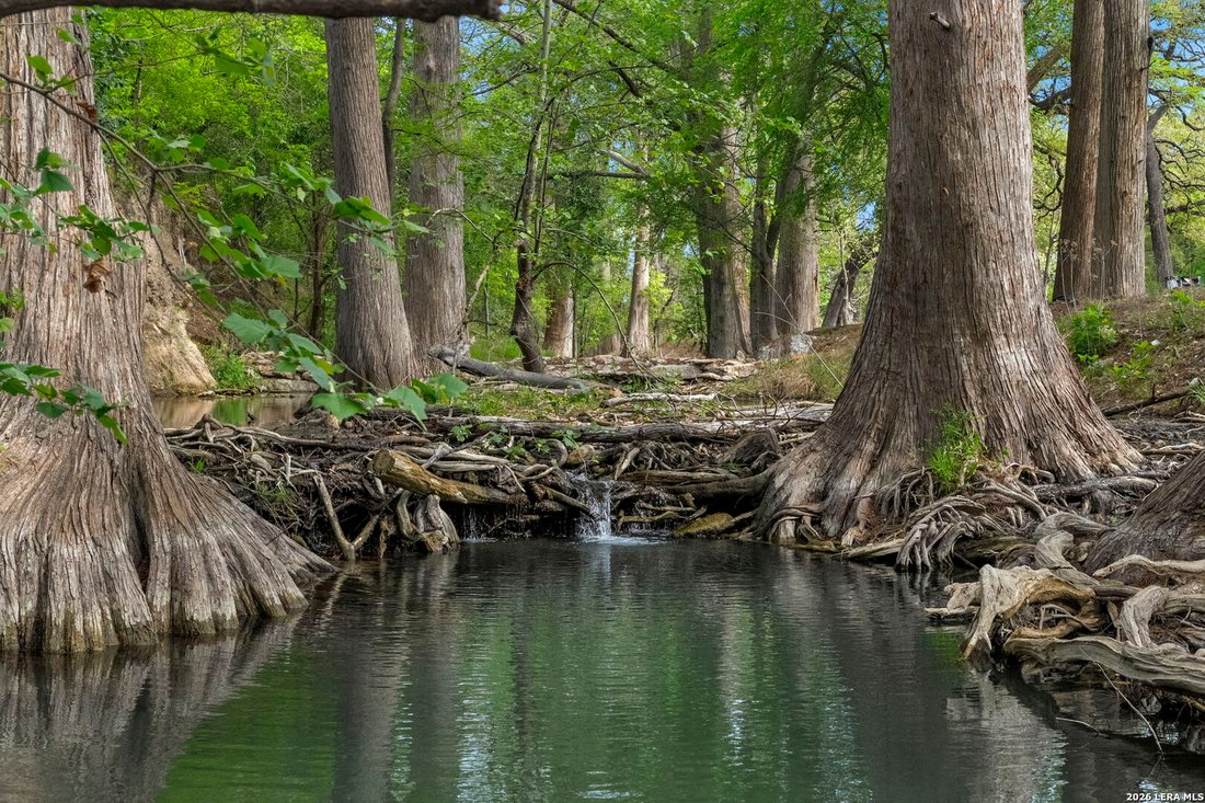 Farm Ranch in Boerne, Texas, United States 1 - 17708870