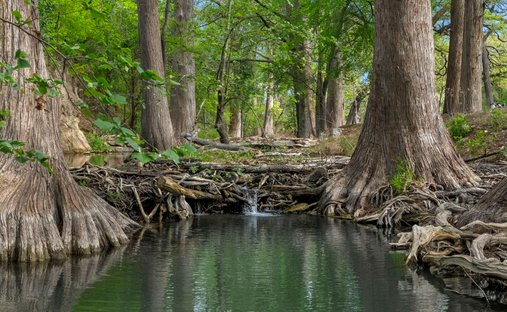 Rancho en Boerne, Texas, Estados Unidos 1