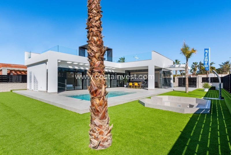 Villa in Algorfa, Valencian Community, Spain 2 - 17695101