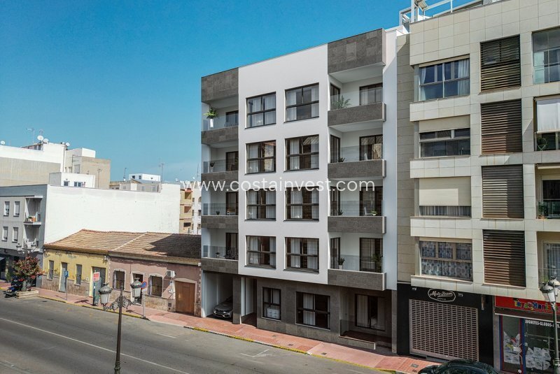 Apartment in Guardamar del Segura, Valencian Community, Spain 3 - 17698965