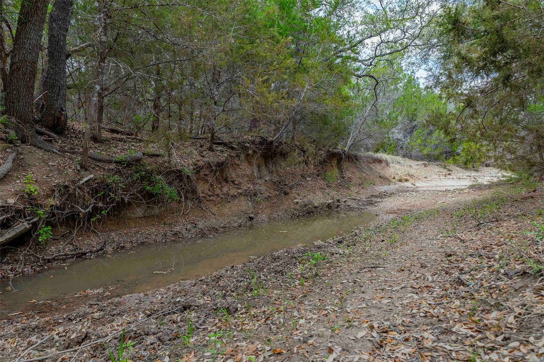 Farm Ranch in Liberty Hill, Texas, United States 5 - 17714865