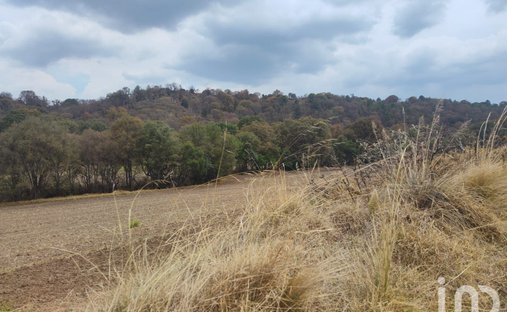 Land in Nanacamilpa de Mariano Arista, Tlaxcala, Mexico 1