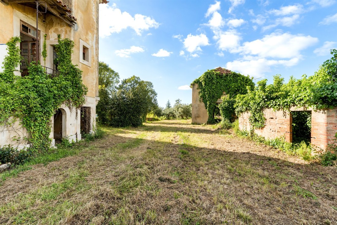 Land in Mealhada Municipality, Aveiro District, Portugal 4 - 17709553