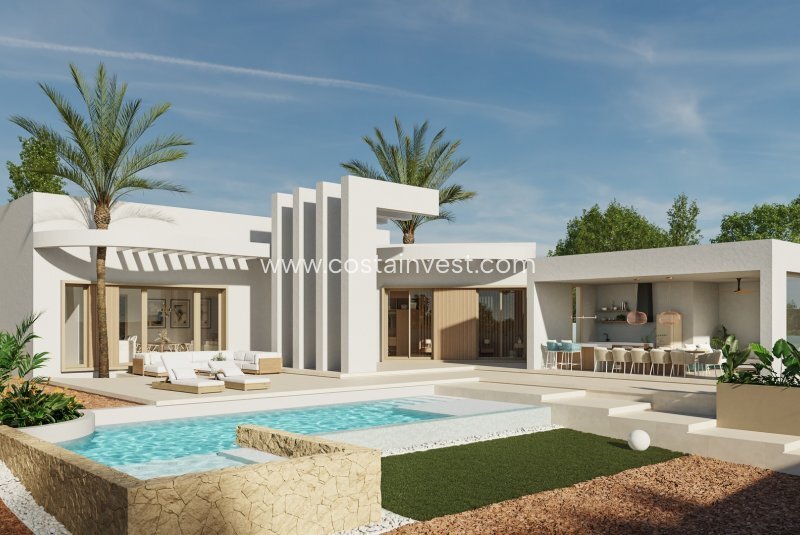 Villa in Algorfa, Valencian Community, Spain 3 - 17695245