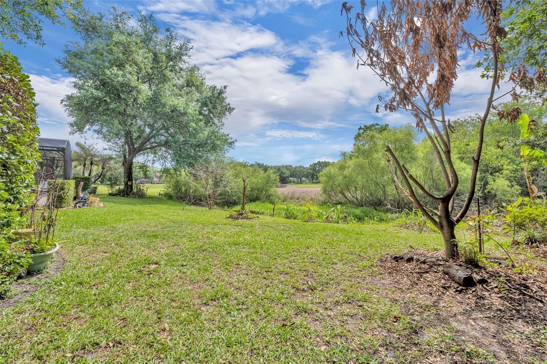 House in Winter Garden, Florida, United States 5 - 17705319