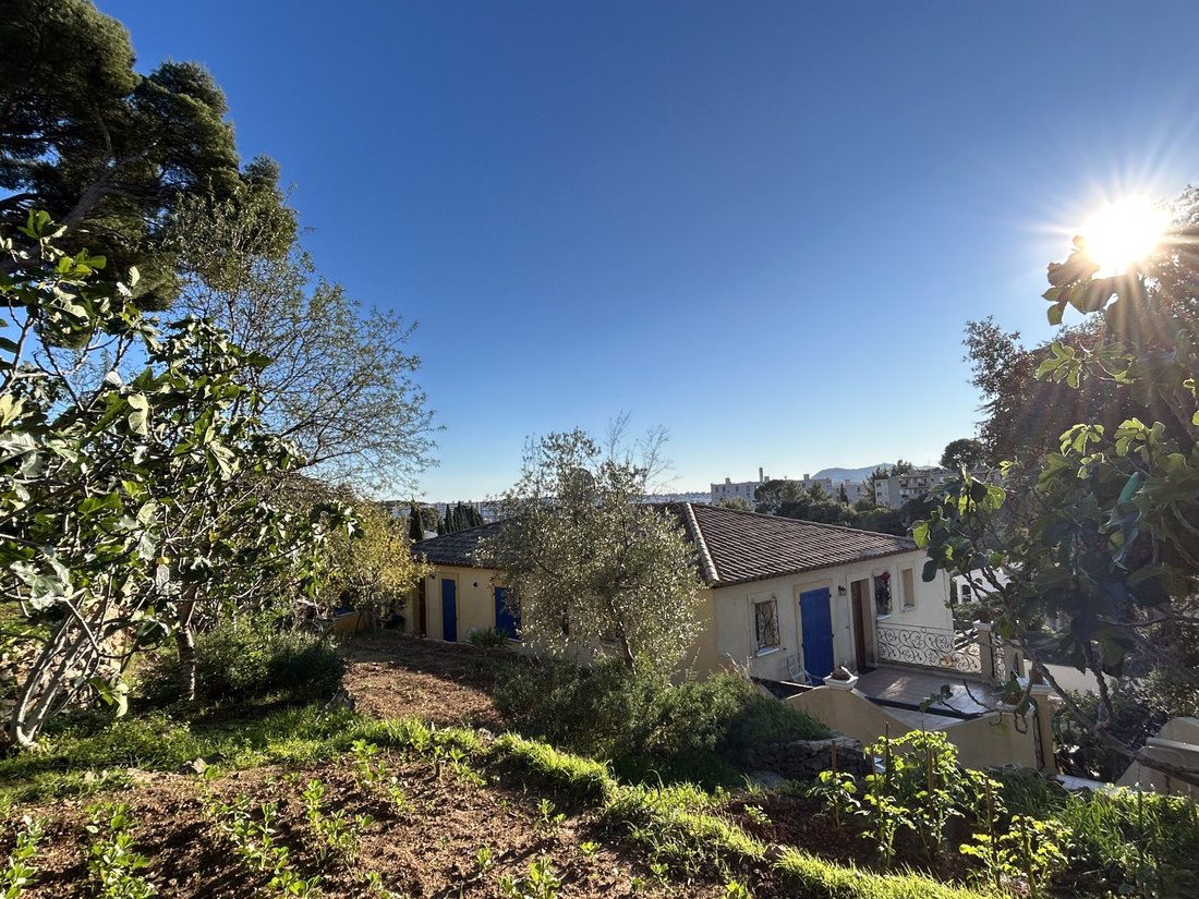 House in Le Revest-les-Eaux, Provence-Alpes-Côte d'Azur, France 1 - 17708687