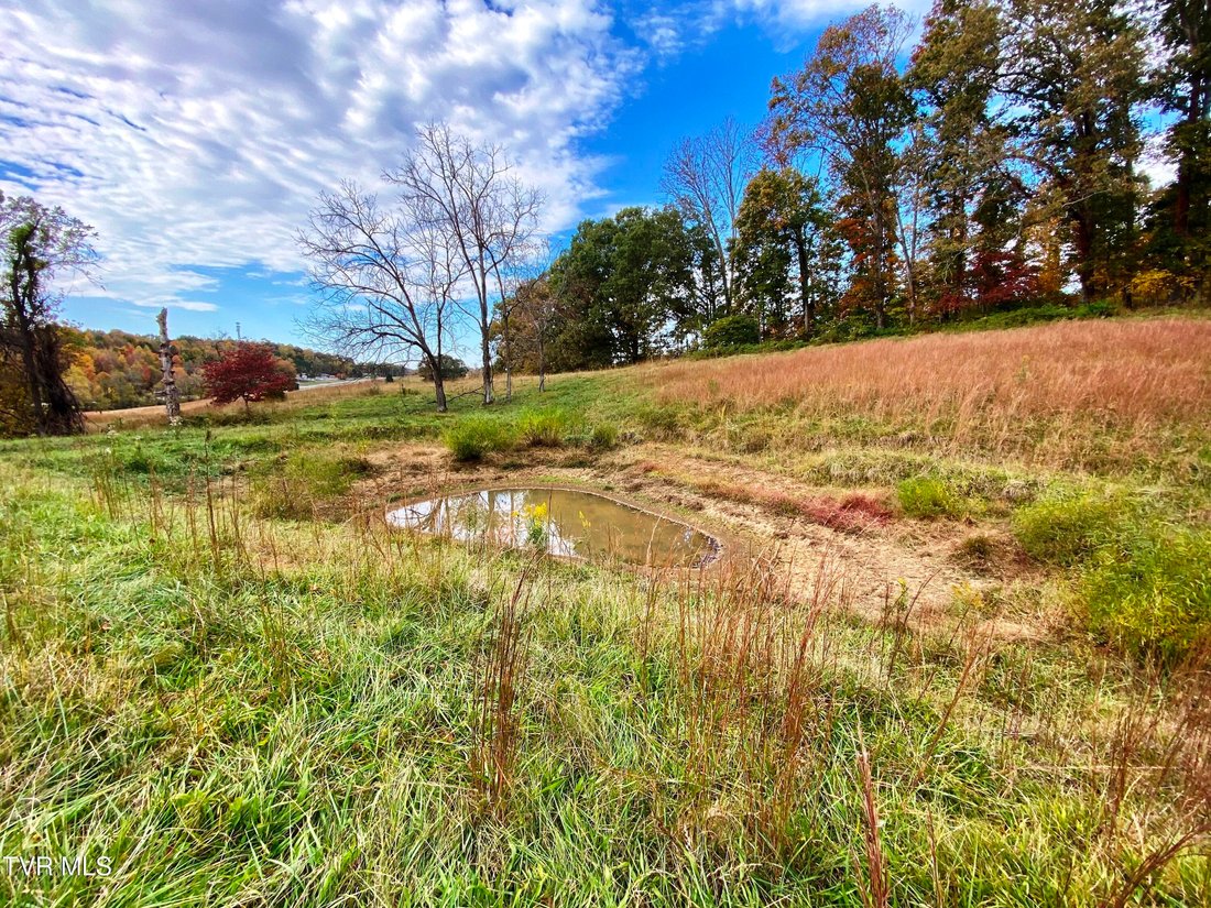 Land in Surgoinsville, Tennessee, United States 4 - 17714550