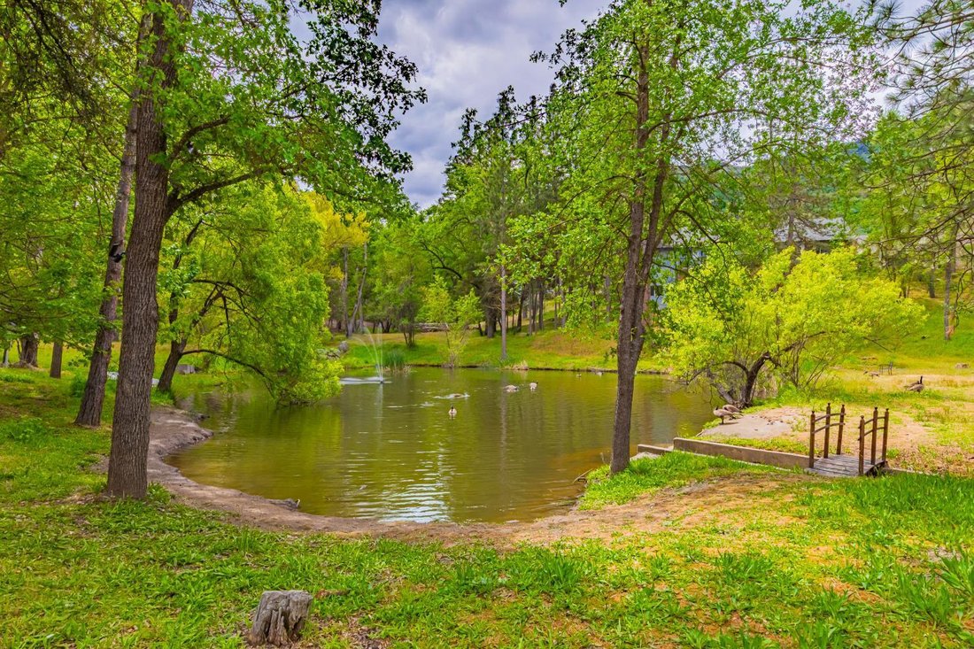 House in Oakhurst, California, United States 3 - 17708907