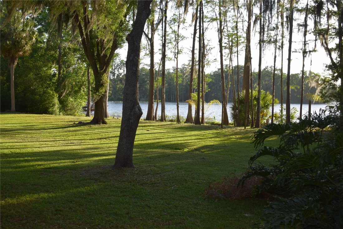 House in Odessa, Florida, United States 1 - 17714065