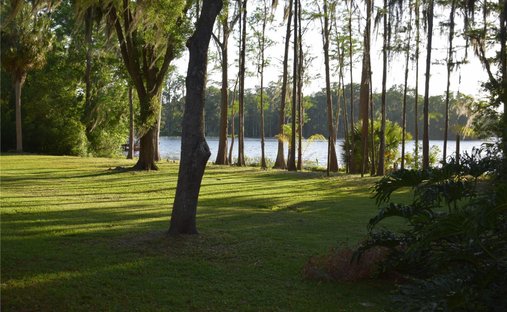 House in Odessa, Florida, United States 1