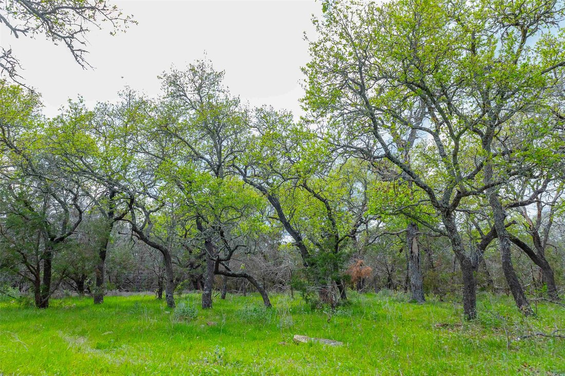 Farm Ranch in Liberty Hill, Texas, United States 3 - 17714865