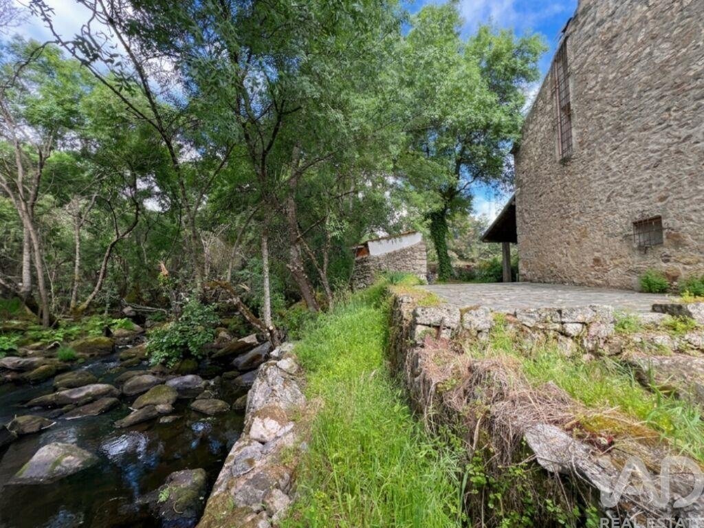 Farm Ranch in Alcains, Castelo Branco District, Portugal 5 - 17716963