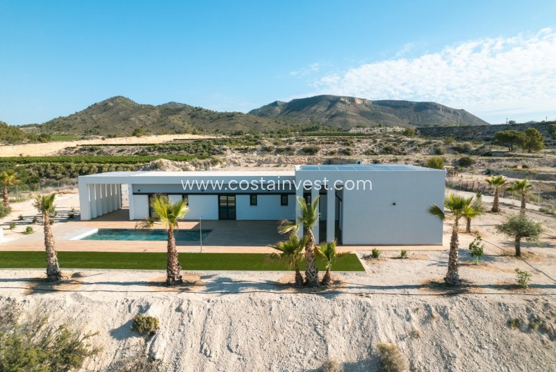 Villa in el Pinos / Pinoso, Valencian Community, Spain 3 - 17695433