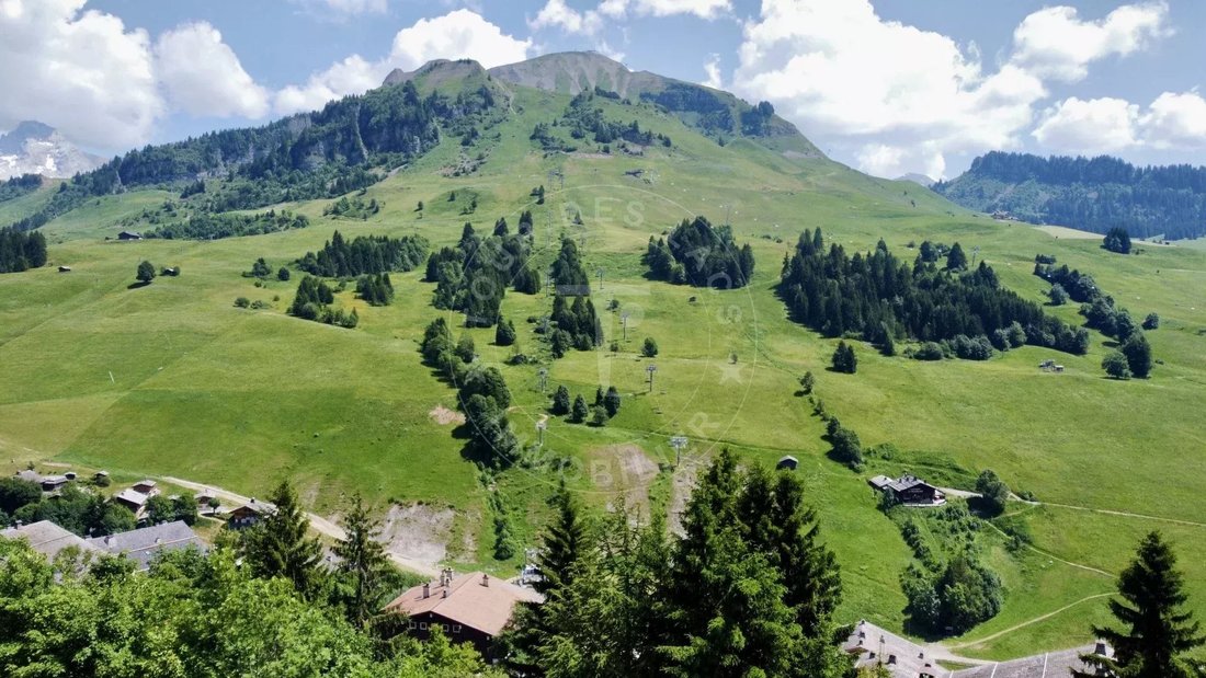 Chalet in Le Grand-Bornand, Auvergne-Rhône-Alpes, France 5 - 15906285