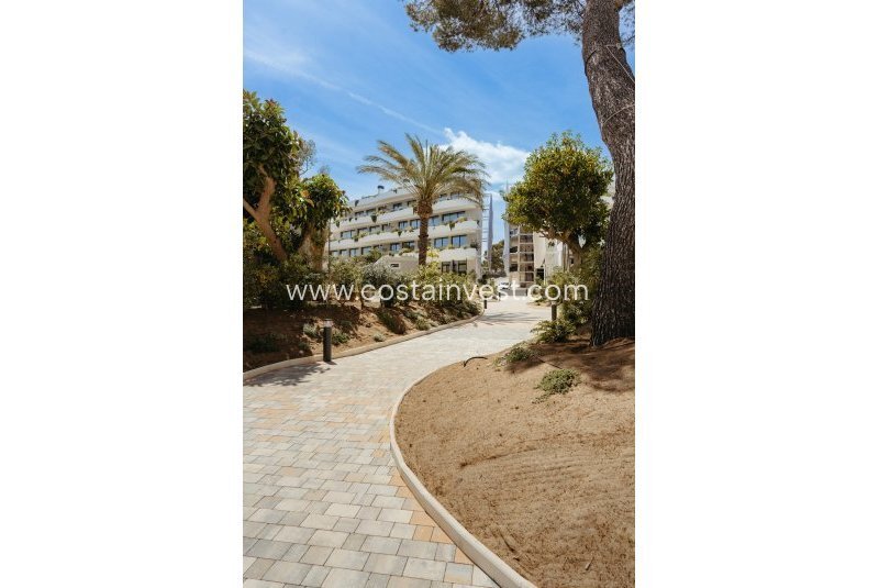 House in l'Albir, l'Alfas del Pi, Valencian Community 5 - 17695546