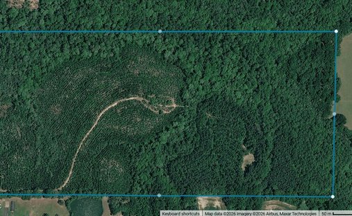 Land in Lucedale, Mississippi, United States 1